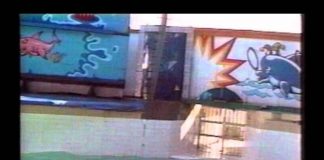 Lolita: Slave to Entertainment