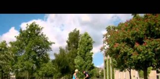 History Cold Case – The York 113