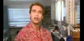 The Worlds Greatest Stunts