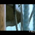 Arctic Passage: Prisoners of the Ice