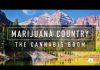 Marijuana Country: The Cannabis Boom