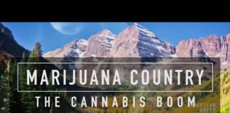 Marijuana Country: The Cannabis Boom