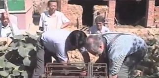 Fluoride – Crippling Waters