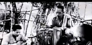 Ho Chi Minh: Vietnam’s Enigma