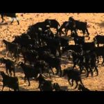 Journeys from the Centre of the Earth