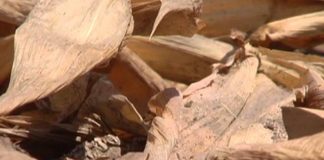 A Dry Season – The Drought of 2012