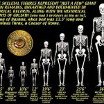 Giants: The Mystery and The Myth