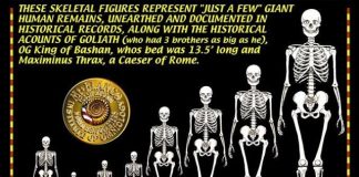 Giants: The Mystery and The Myth