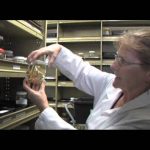 Western Australias Ocean Environment A Voyage of Discovery