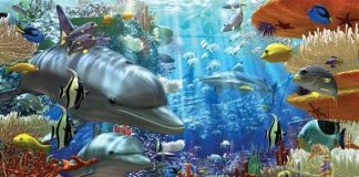 Encountering Sea Monsters