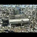 The Fresh Kills Story: From World’s Largest Garbage Dump to a World-Class Park