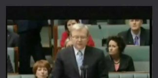 Expendable: The Political Sacrifice of Schapelle Corby