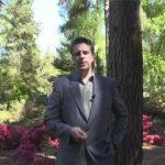 The Real Face of the European Union