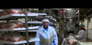 How Stuff Works: Salt