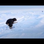 The Battle for the Arctic