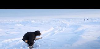 The Battle for the Arctic