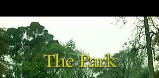 The Park