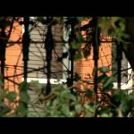 Ireland’s Secret Cults