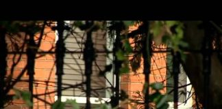 Ireland’s Secret Cults