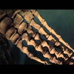 Prehistoric Assassins: Blood in the Water