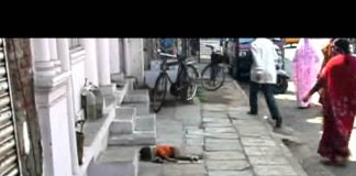 All Things Are Connected