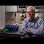 The Weight of the Nation: Choices