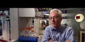 The Weight of the Nation: Choices