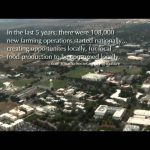 Farmers Markets: Love at First Bite