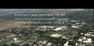 Farmers Markets: Love at First Bite