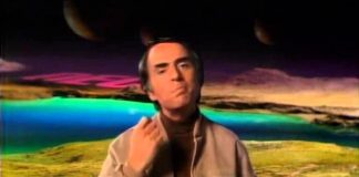 Cosmos – One Voice in the Cosmic Fugue