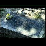 Placebo: Cracking the Code