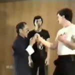 Original Wing Chun