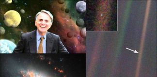 Pale Blue Dot: A Vision of the Human Future in Space