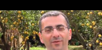 The Changing Face of the Mafia