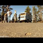 Summer of (Family) Love