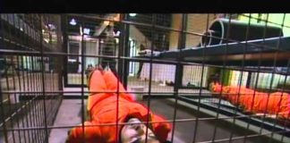 The Guantanamo Guidebook