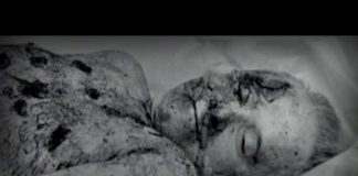 Children of the Jaguar