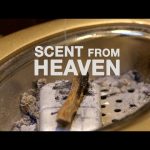 Scent from Heaven