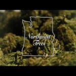 Northwest Trees