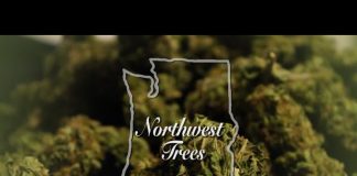 Northwest Trees