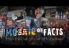 Mosaic of Facts