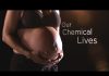 Our Chemical Lives