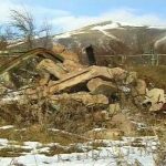 Surviving on the Richter Scale