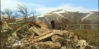 Surviving on the Richter Scale